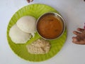 Baby Holding in Hand Home Made Indian vegetarian rice cakes breakfast known as idli or idly, served with sambar and Chatney in a