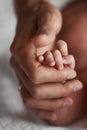 Baby is holding his mothers hand Royalty Free Stock Photo