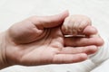 Baby holding mother hand Royalty Free Stock Photo