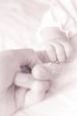 A baby holding parent index finger Royalty Free Stock Photo
