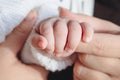 The baby holding parents finger Royalty Free Stock Photo