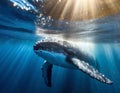 baby humpback whale near surface, tranquil blue ocean, playful moment, luminous water Royalty Free Stock Photo