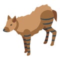 Baby hyena icon isometric vector. Wild animal