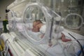 Baby in an incubator sleeping Royalty Free Stock Photo