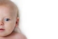 Baby infant close-up portrait. Happy baby face over light background. Looking at camera. Copy space Royalty Free Stock Photo