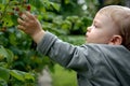 Baby infant in the garden