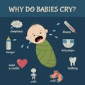 Baby infographic