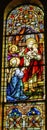 Baby Jesus Simeon Stained Glass Saint Mary& x27;s Catholic Church San Antonio Texas Royalty Free Stock Photo