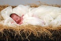 Baby Jesus in Manger Royalty Free Stock Photo