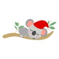 Baby koala sleeping in red Christmas hat on eucalyptus tree. Simple flat illustration. Minimalist cartoon style. Funny and cute. Royalty Free Stock Photo