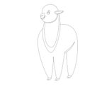 Baby lama, vector illustration,lining draw,