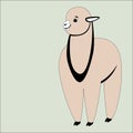 Baby lama, vector illustration,lining draw,