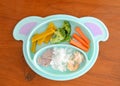 Baby Led Weaning BLW meal for Baby Royalty Free Stock Photo