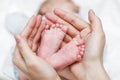 Baby legs. Newborn baby feet in mother`s hands. Baby feet cupped into mothers hands Royalty Free Stock Photo