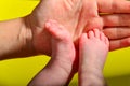 Baby legs on a yellow background, the mother holds the small legs of a newborn baby in her hand Royalty Free Stock Photo