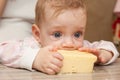 Baby liked piece of tasty cheese Royalty Free Stock Photo