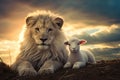 baby lion and lamb living in harmony. Peace and Reconciliation. Lion of Judah.