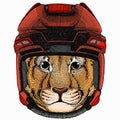 Baby lion. Safari animal. Vector portrait. Hockey helmet.