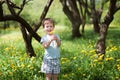 Baby little boy holds dandelion, sunny day. Flower