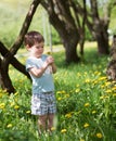 Baby little boy holds dandelion, sunny day. Summer Meadow