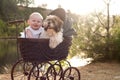 Baby and little puppy in a pram Royalty Free Stock Photo