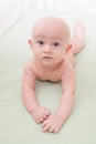 Baby Lying in the Crib Royalty Free Stock Photo