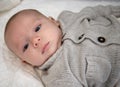 Baby lying with a grey sweater looks carefully Royalty Free Stock Photo