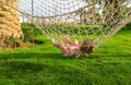 Baby is lying on a hammock. Selective focus. Royalty Free Stock Photo