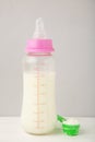 Baby milk bottle with powder on grey background Royalty Free Stock Photo