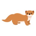Baby mink icon, cartoon style Royalty Free Stock Photo