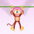 Baby monkey Royalty Free Stock Photo