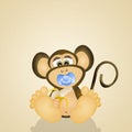 Baby monkey Royalty Free Stock Photo