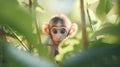 a baby monkey peeking through plants Royalty Free Stock Photo