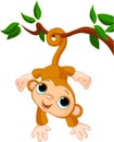 Baby monkey on a tree Royalty Free Stock Photo
