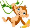 Niño mono en árbol 