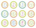 Baby monthly milestone stickers. Baby shower design elements. Vector