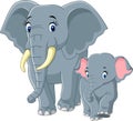 Baby and Mother Elephant Royalty Free Stock Photo