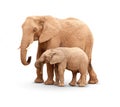 Baby and Mother Elephant Isolated On White With Shadow or a Transparent PNG if you wish. Royalty Free Stock Photo