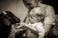 Baby with mother feeding animal at the petting zoo Royalty Free Stock Photo