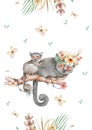 Baby Mouse lemur. Hand drawn cute watercolor cartoon mouse lemur on tree with jungle leaves on white background