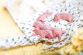 Baby mouse or little newborn rats sleep in rat nest on fabric in the house Royalty Free Stock Photo