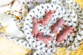 Baby mouse or little newborn rats sleep in rat nest on fabric or silk cloth Royalty Free Stock Photo