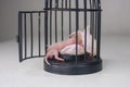 Baby mouse sleeping in a cage. Newborn baby rats.