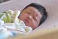 Baby new born Royalty Free Stock Photo