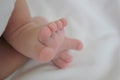 Baby newborn feet foot cute beautiful lovely boy babies Royalty Free Stock Photo