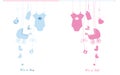 Baby newborn hanging baby boy baby girl symbols illustration. Its a boy. Its a girl