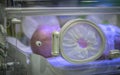 Baby Newborn In Hospital Incubator