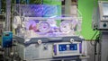 Baby Newborn In Hospital Incubator