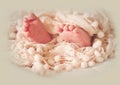 Baby newborn little foot