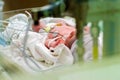 Baby in NICU Royalty Free Stock Photo
